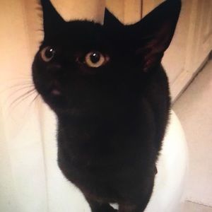 Meet your Posher, Mir